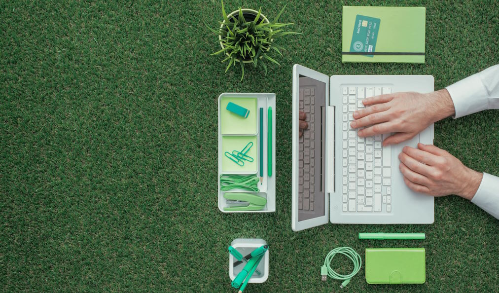The Impact of Eco-Friendly Office Practices on Employee Productivity